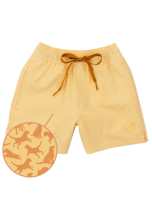 Boys splash swim dogs