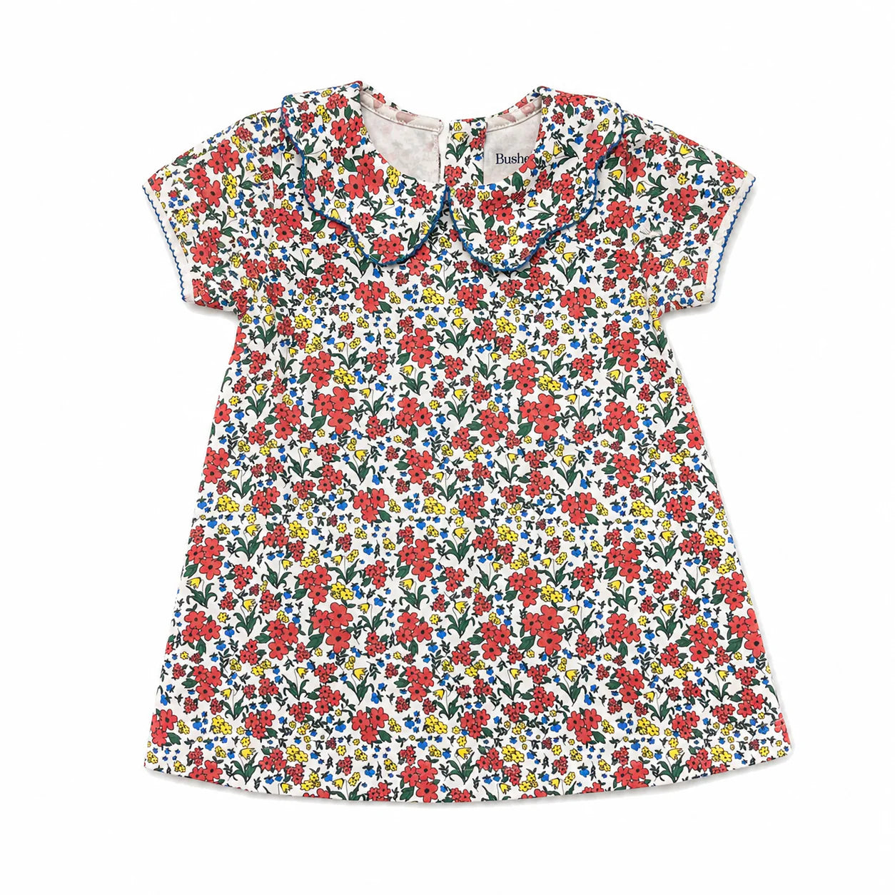 Lucy Dress Primary Petals