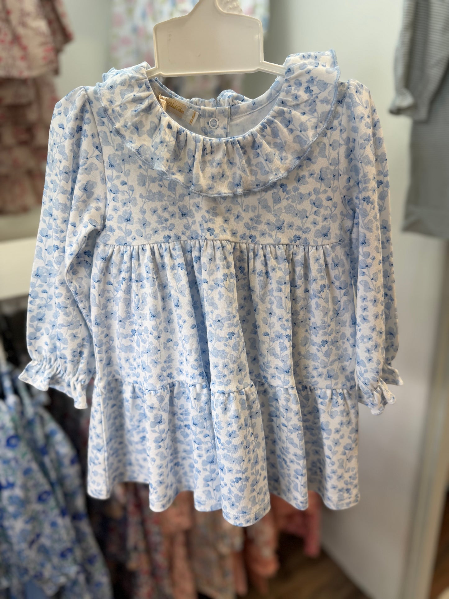 Blue begonias bloomer set