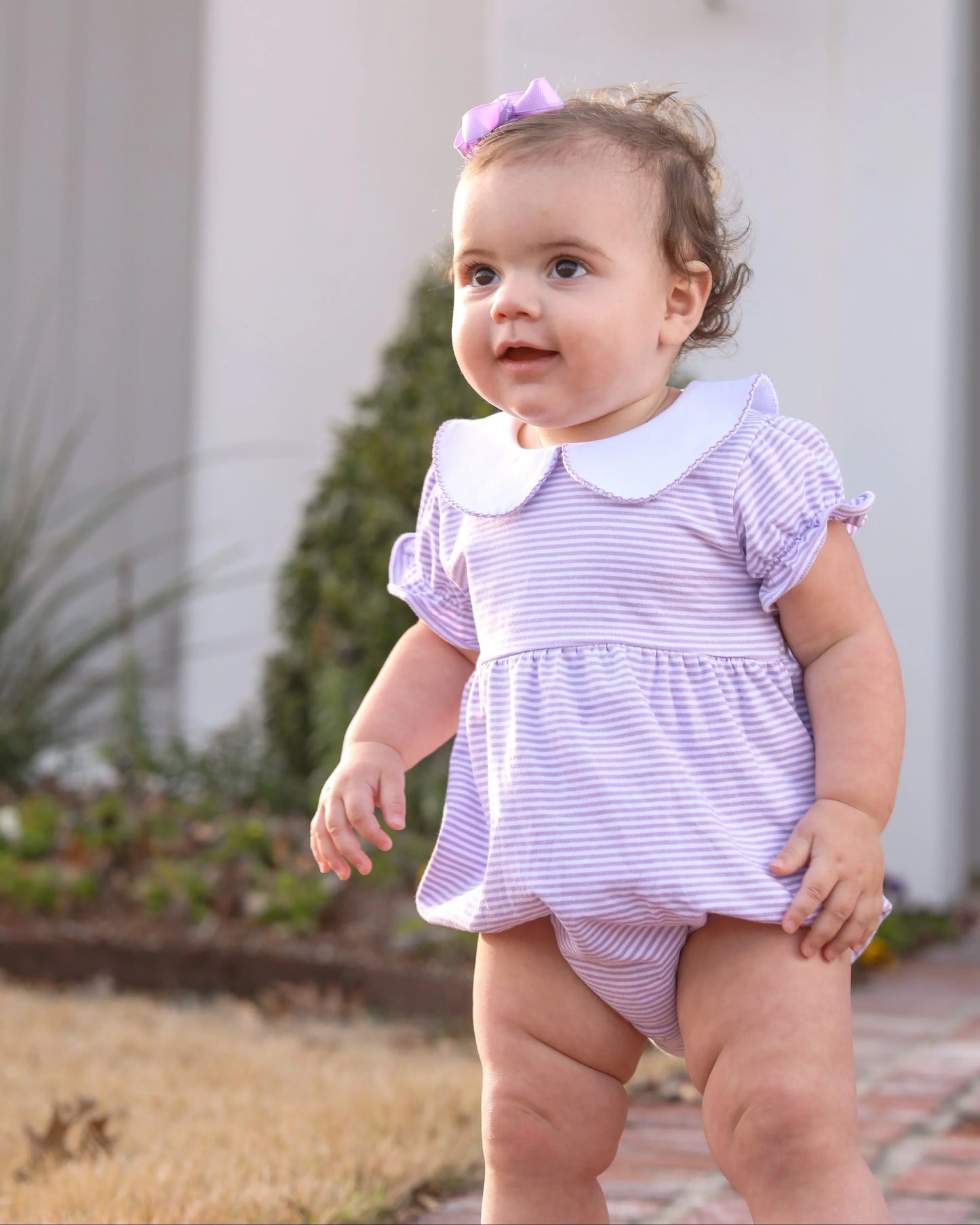 Charlotte bubble lavender