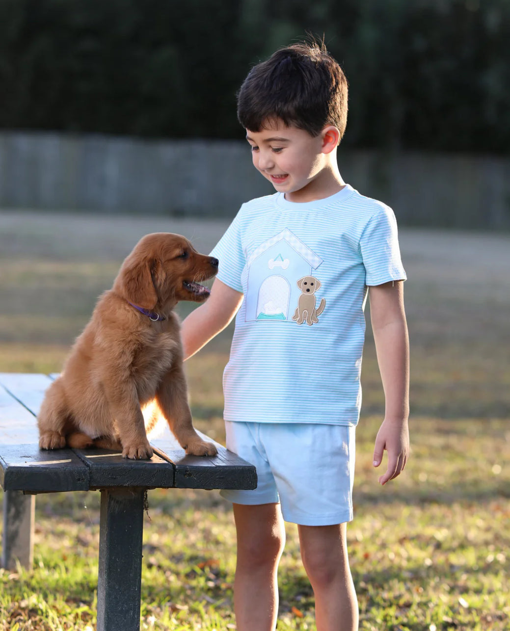 Dog House applique set