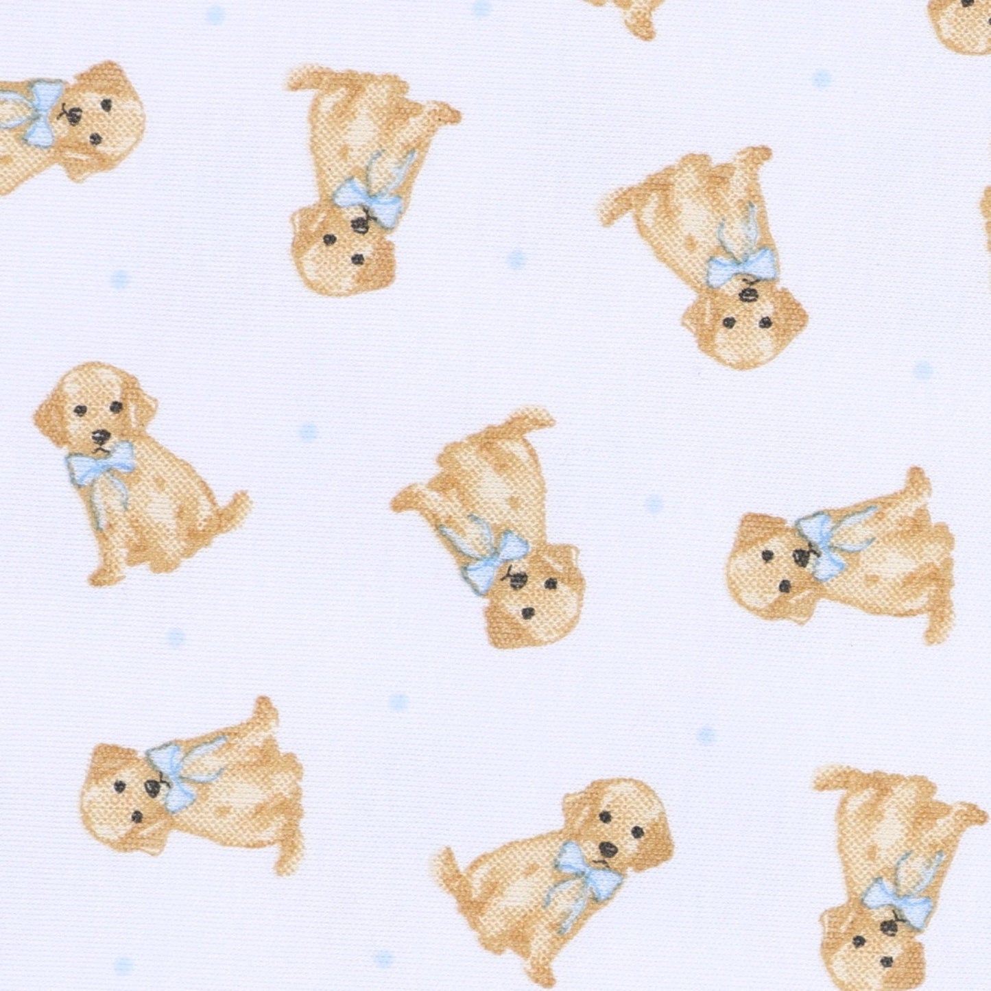 Sweet Golden Print Bubble - Light Blue
