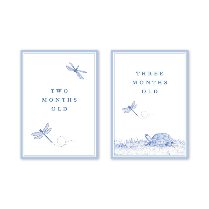 Snips and Snails Milestone Cards
