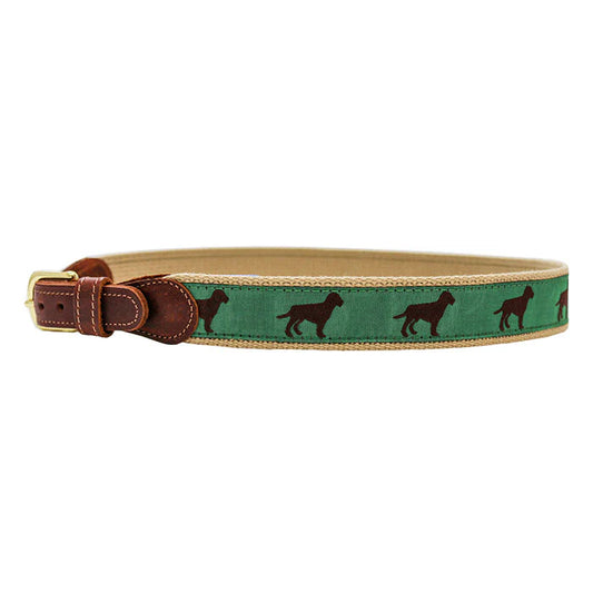 Chocolate Dog Belt