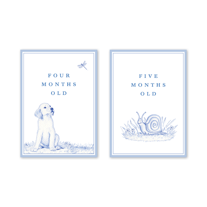 Snips and Snails Milestone Cards
