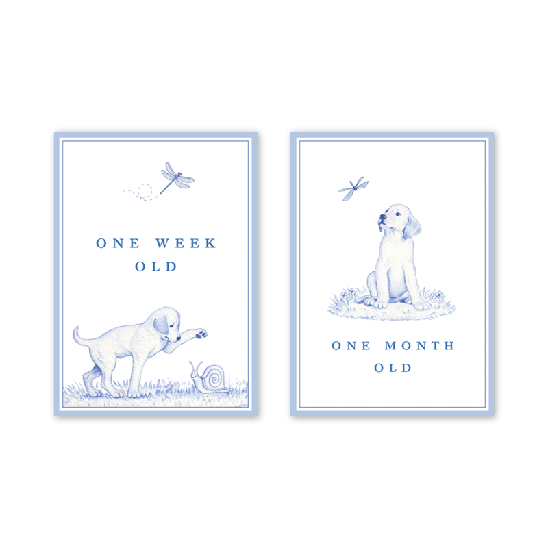 Snips and Snails Milestone Cards
