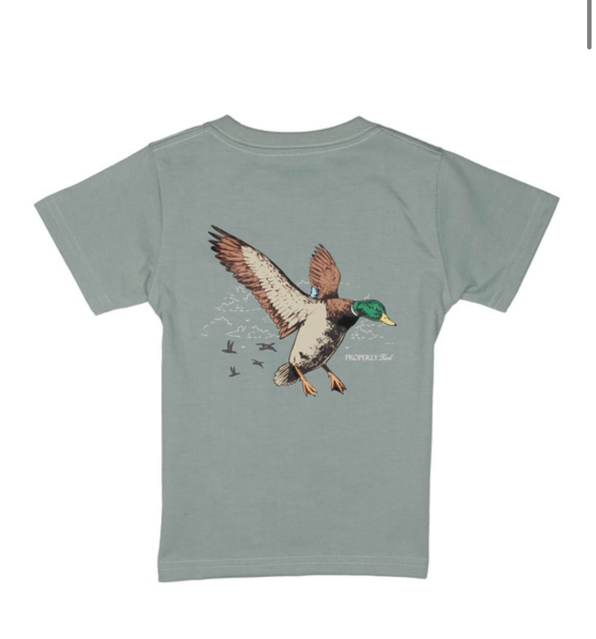 Mallard flight SS Fog