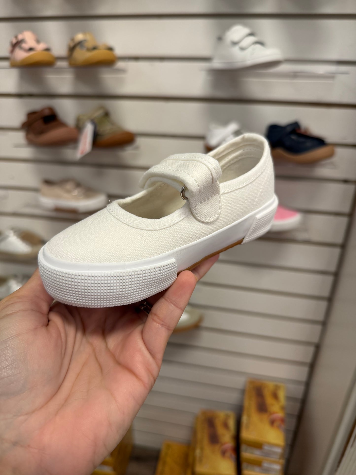 Sammy mini