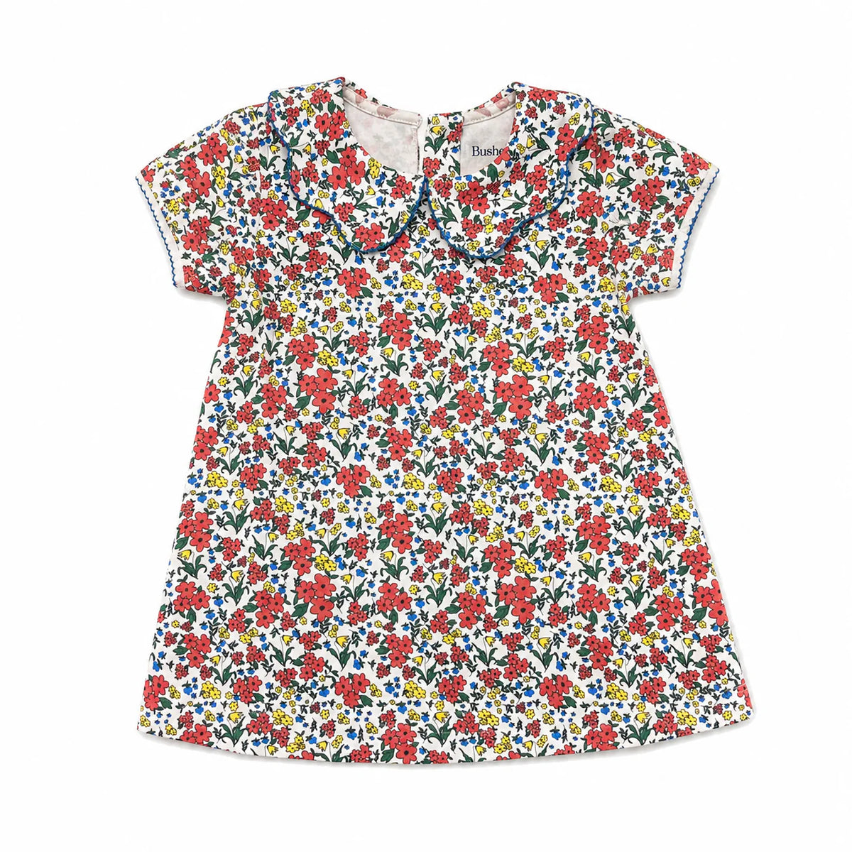 Lucy Dress Primary Petals