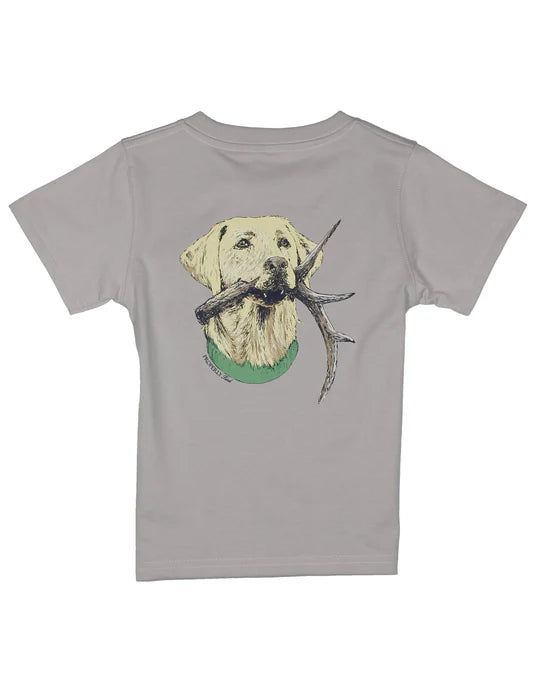 Antler lab SS ice grey
