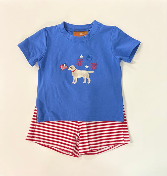 patriotic pup boy set