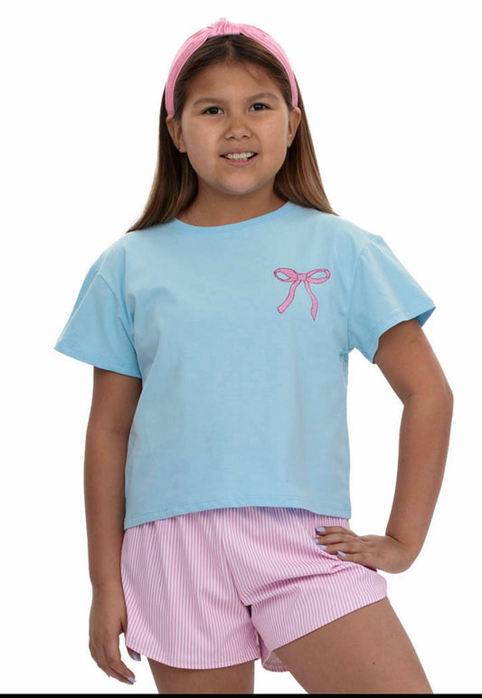 Pink Glitter Bow on Light Blue Boxy