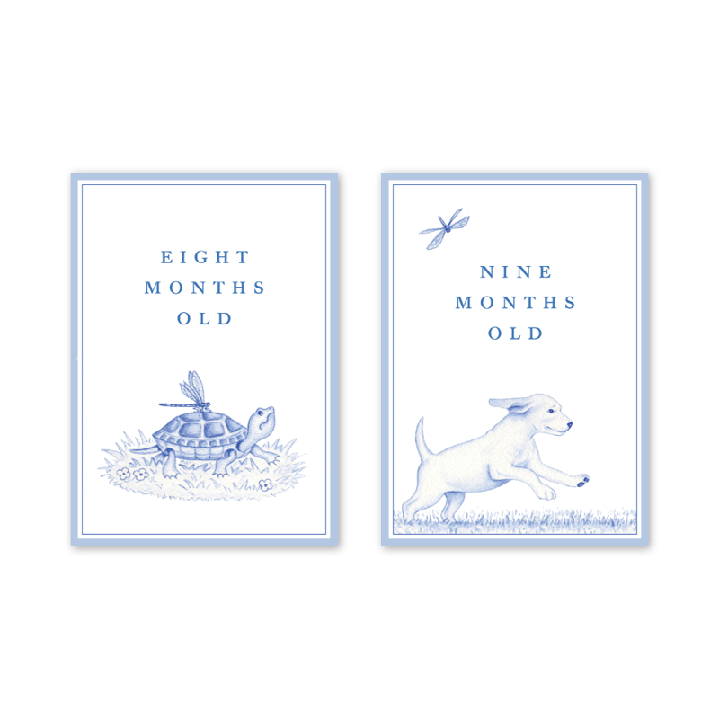 Snips and Snails Milestone Cards