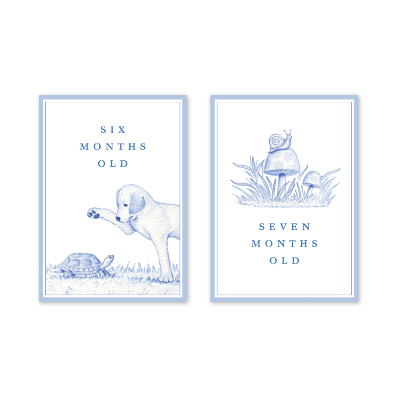 Snips and Snails Milestone Cards