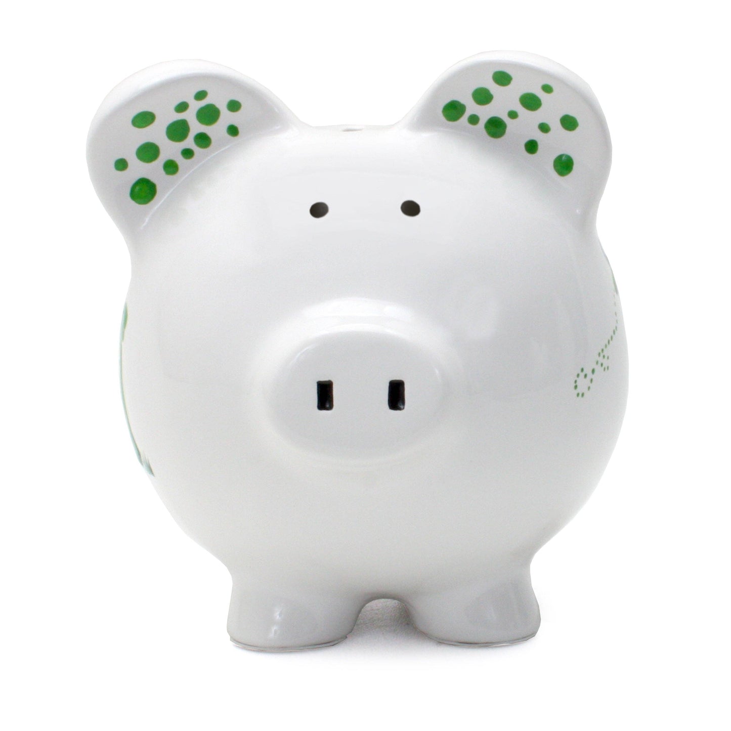 Dinosaurs & Dragonflies Large Piggy Bank